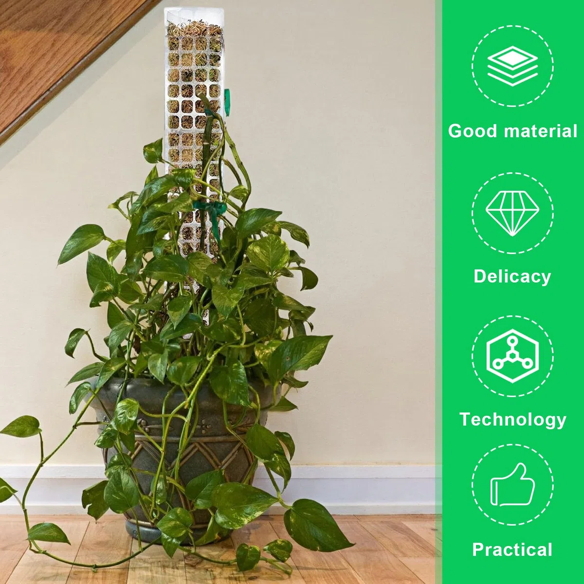 Monstera, 6 pezzi da 61 cm, asta di muschio Monstera, asta per piante da giardino con nastri per piante e , asta per muschio per Monstera, Moss Pole per piante rampicanti da appartamento