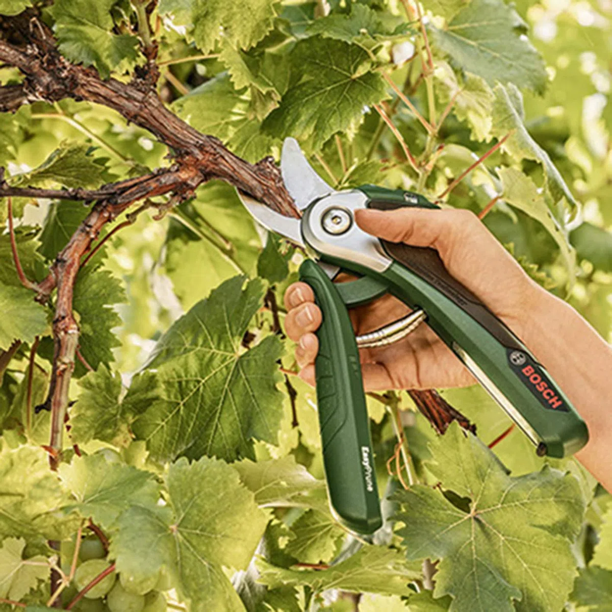 Bosch Lama di ricambio (per EasyPrune)