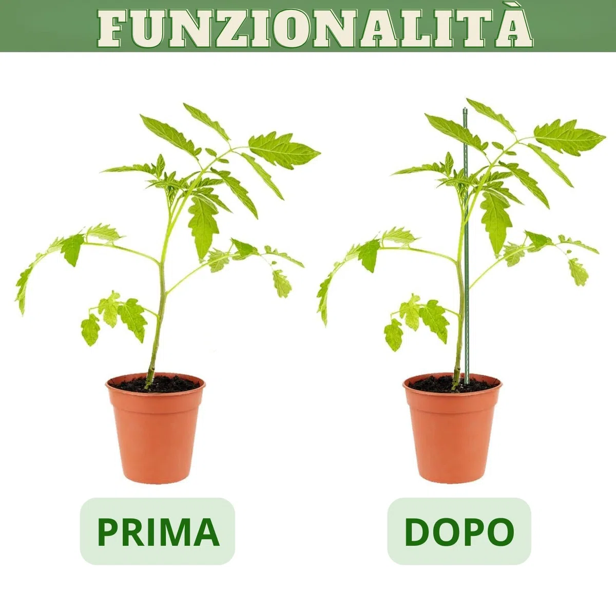 Bastoncini Supporto Piante Rampicanti Set 25 Cannette Acciaio Plastificato Bastone 1,6 Ø x 180 cm Tutore Verde Giardino Orto Pomodori Melenzane