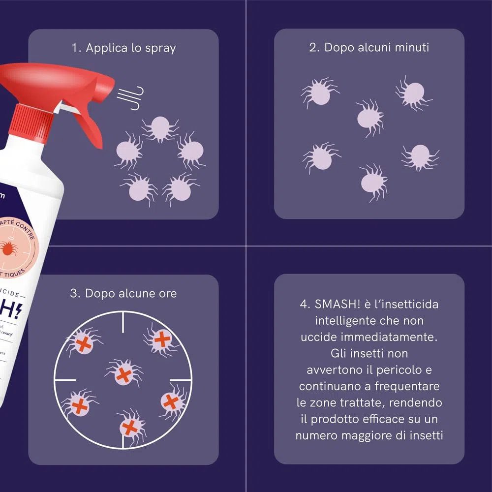 SMASH Spray Insetticida Formiche per Casa - 1x500 ml - Adatto per Ambienti con Animali Domestici. Senza Permetrina. Antiformiche per Interno Casa - Istruzioni incluse