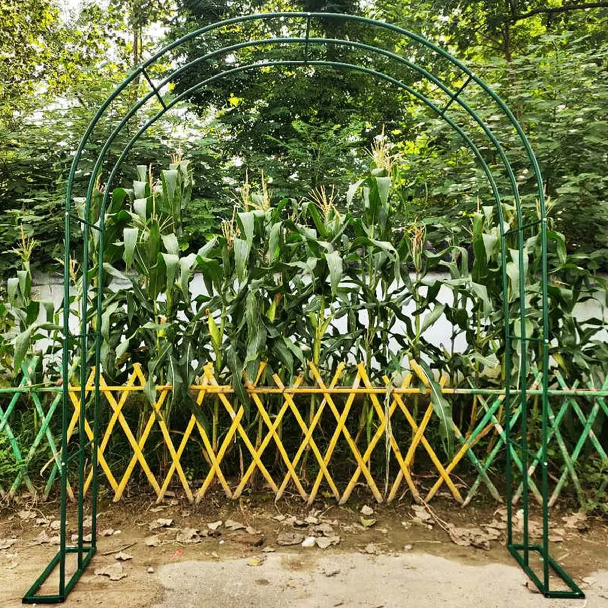 SDdPulse Arco da giardino per esterni, pergolato per piante rampicanti, arco decorativo per rose, arco decorativo in metallo resistente alle intemperie, supporto per piante clematide per rose d'uva, 3