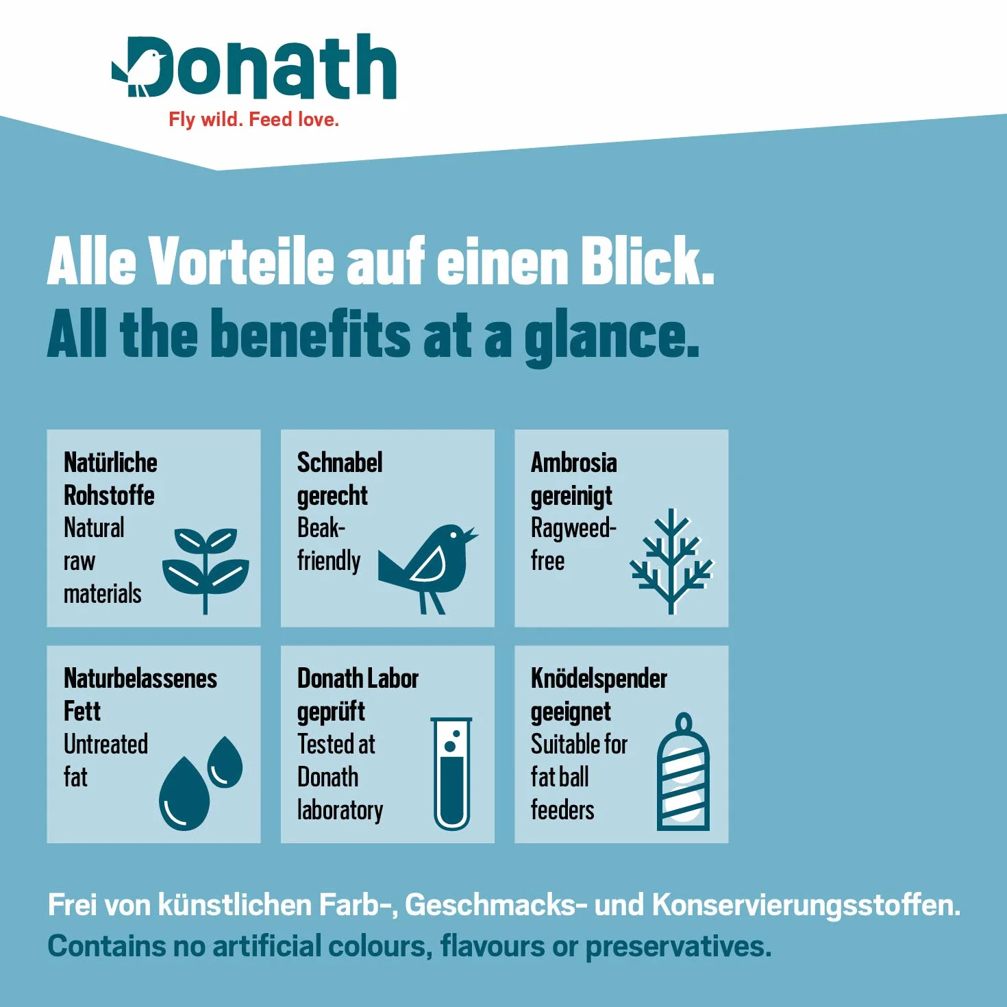 Donath gnocco energetico classico per cince - senza rete - 100g l’uno - con grasso energizzante - cibo per uccelli selvatici adatto tutto l’anno - dalla nostra manifattura nel sud della Germania