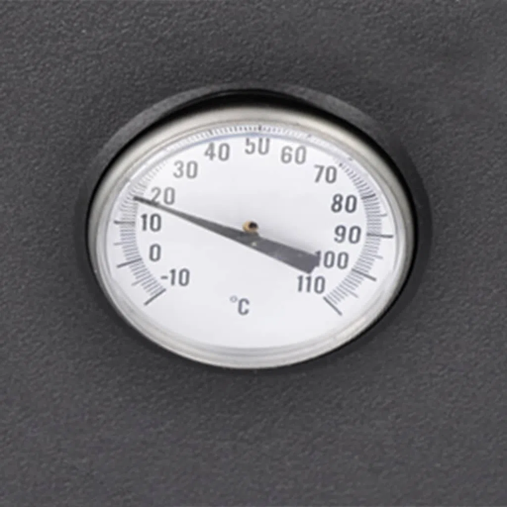 Filtro per laghetto da 12000 l/h con indicatore di temperatura, per fontane, accessorio per laghetto, filtro esterno per piscine fino a 60.000 litri senza pesce, materiale filtrante incluso