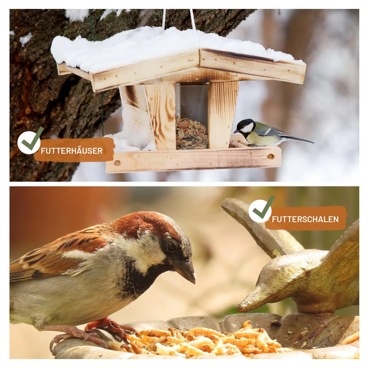 wildtier liebe Vogeltraum - Set di insetti di alta qualità, 2,5 litri, secchi, larve di insetti e gamarus per uccelli, vermi di farina, mangime per uccelli