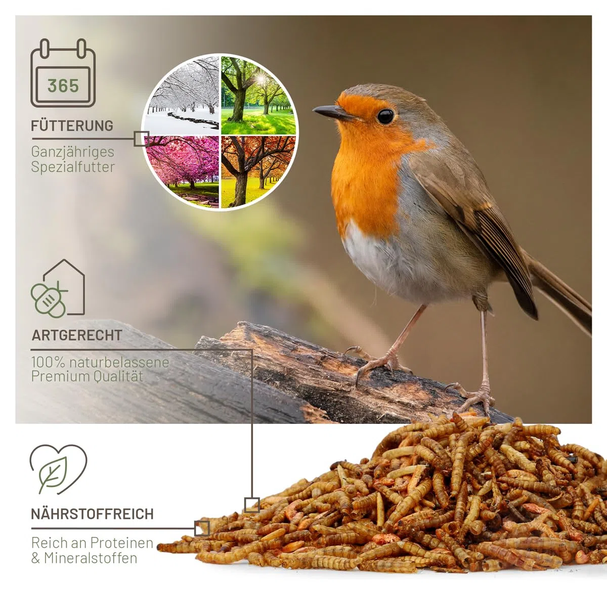 wildtier liebe Vogeltraum - Set di insetti di alta qualità, 2,5 litri, secchi, larve di insetti e gamarus per uccelli, vermi di farina, mangime per uccelli