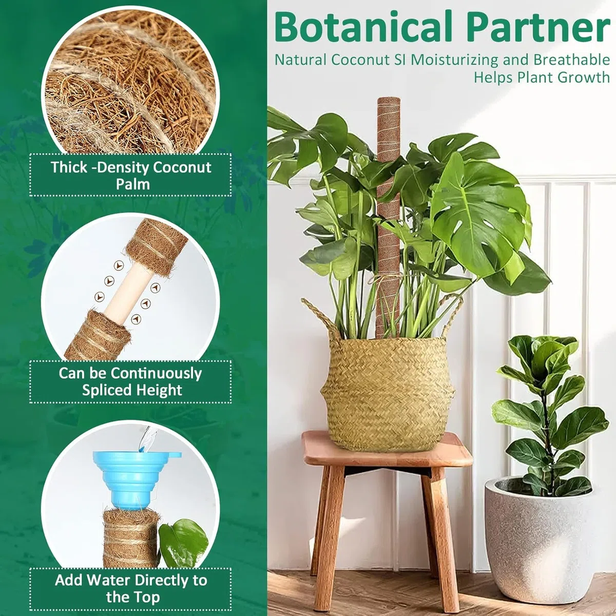 5 Pezzi Palo per Fibra di Cocco per Piante, Monstera Rampicanti Supporto estendibile fino a 160 cm, Bastone Muschiato, Ostegno Piante Rampicanti Cocco per Casa Giardino