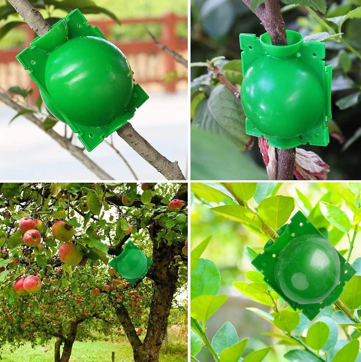 20 Pezzi Scatola Radicamento Piante, Dispositivo di Radicazione delle Piante Palline per Propagazione ad Alta Pressione per Innesto da Giardino Coltivazione di Radici (S+M+L) (Verde)