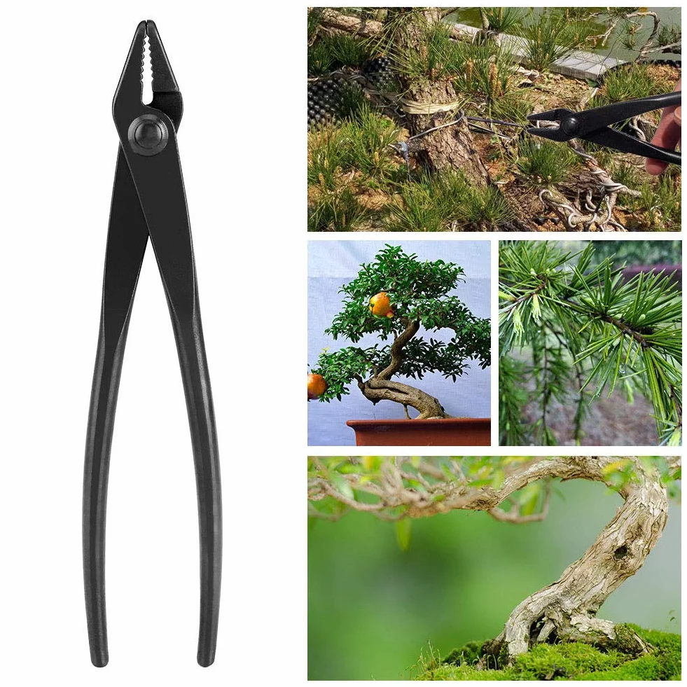 Pinza Bonsai, Pinza per Filo da Allenamento per Bonsai Attrezzi da Giardino per Bonsai Pinza Filo Bonsai in Lega di Acciaio al Manganese per Attrezzo da Giardinaggio