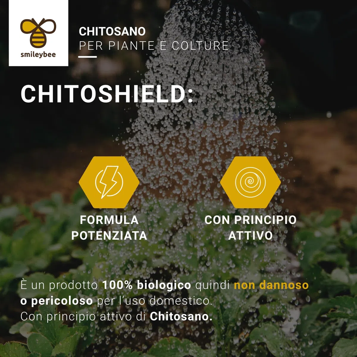 Chito Shield Attivatore Biostimonlante delle Difese Endogene della Pianta - 1 Litro'