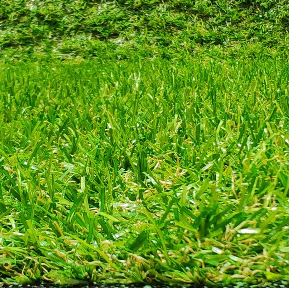 Tadi & Imperio1979 Rotolo di tappeto erboso artificiale, moquette terrazza o giardino, altezza 20 mm, (100 x 300 centimetri)