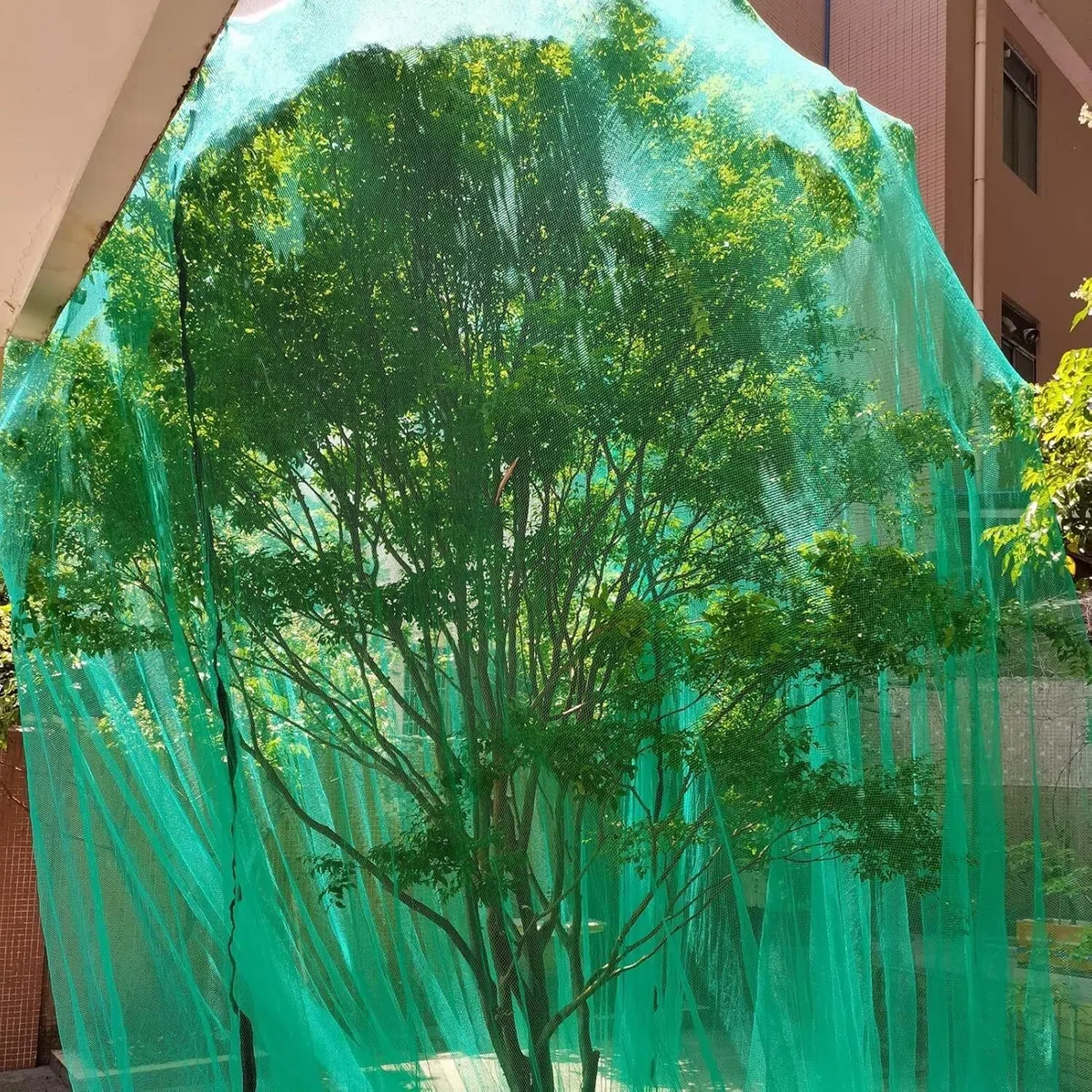 Reti verdi for uccelli Bacche Cespugli a traliccio for giardino Piante/alberi da frutto/verdure/animali Recinzioni in filo di nylon(10x10/33x33ft)
