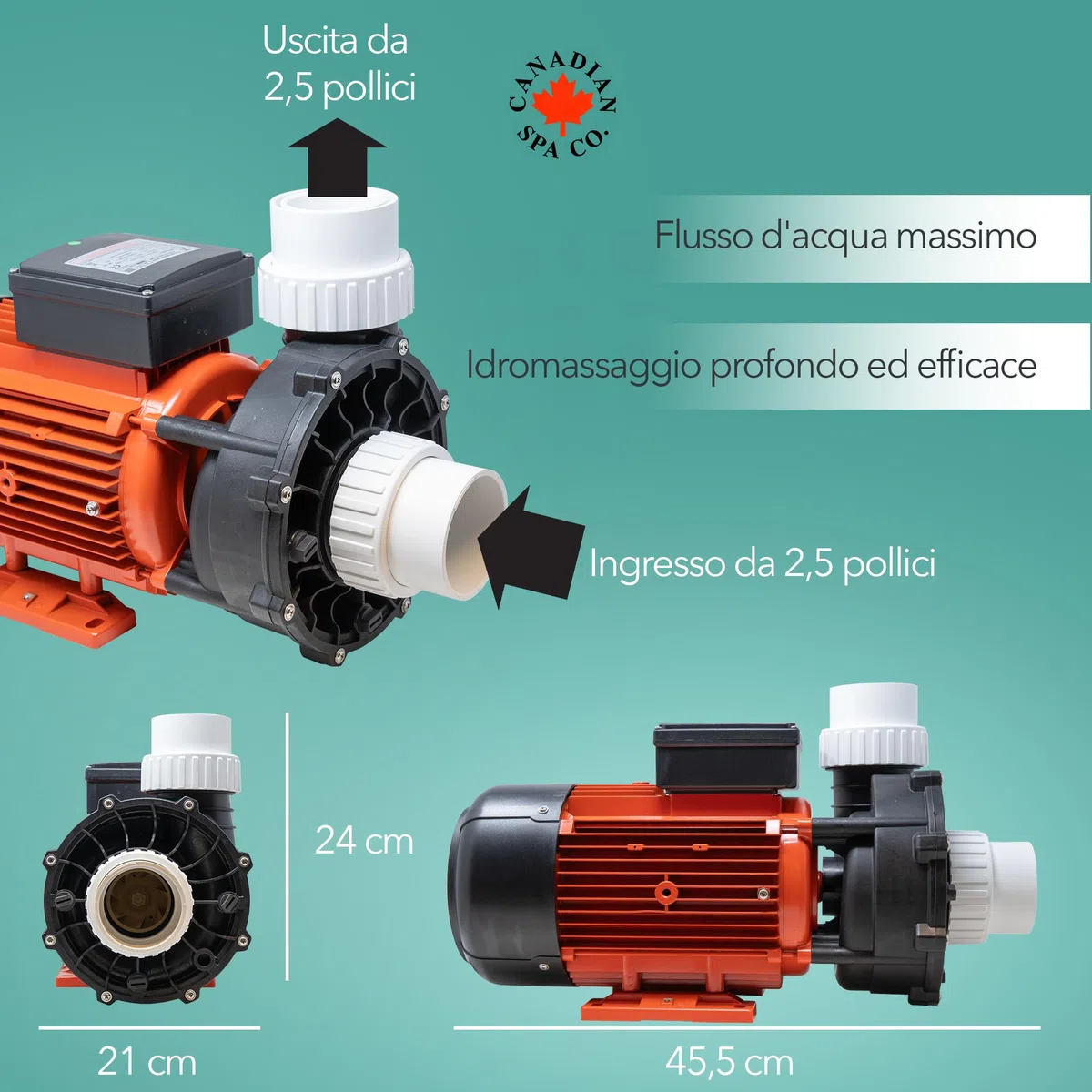CANADIAN SPA CO. Pompa per massaggio 'Big Red' 5PS WP500-I, pompa per piscina a 1 stadio, attacco da 2,5 a 2,5 pollici, max. 1120 litri al minuto, idromassaggio