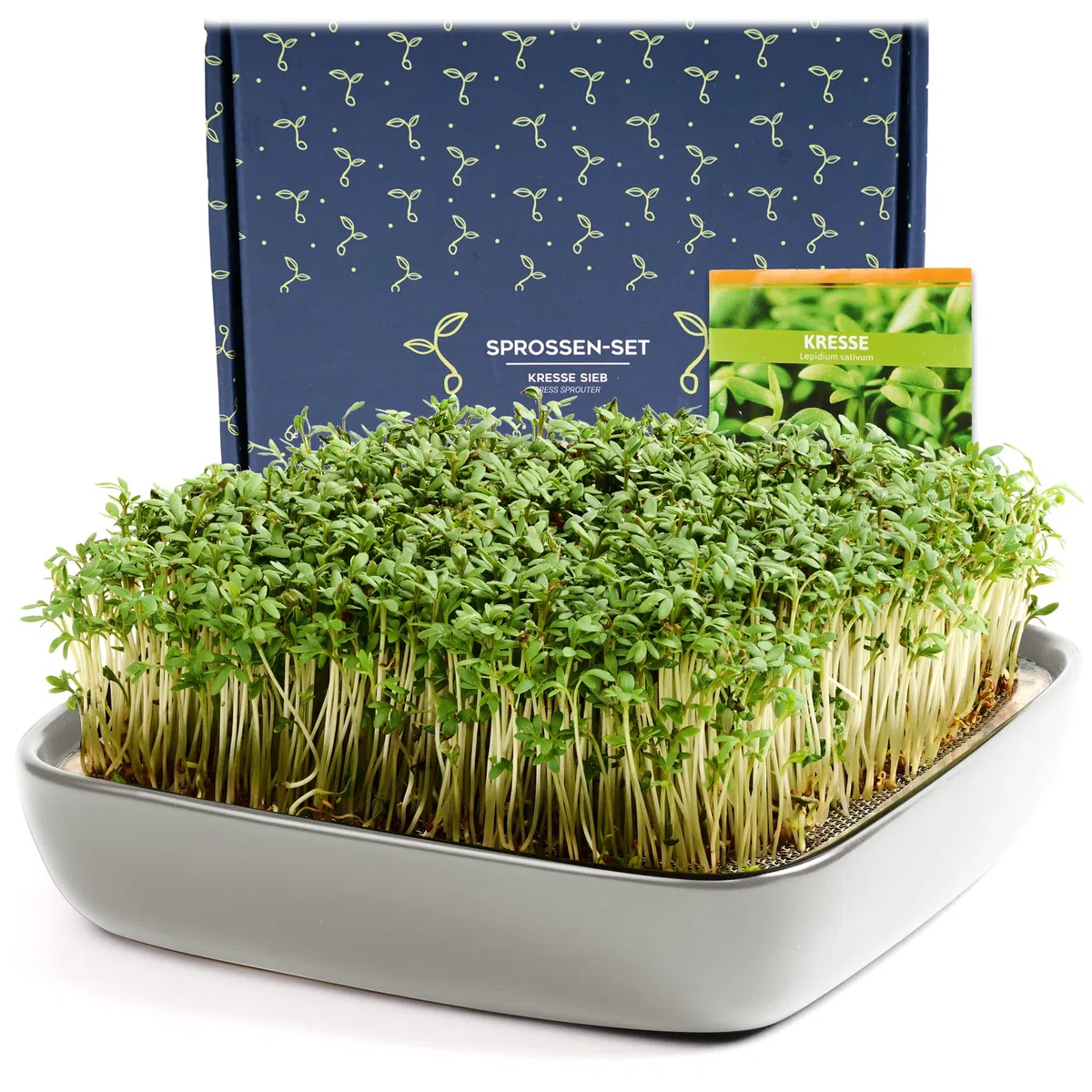 Otaro Germogliatore con Semi di crescione | Microgreens | Idroponica Kit Completo - Pronto all’Uso | Germogliatore per Semi | Semenzaio Elegante | (Grigio - Set Premium in Ceramica)
