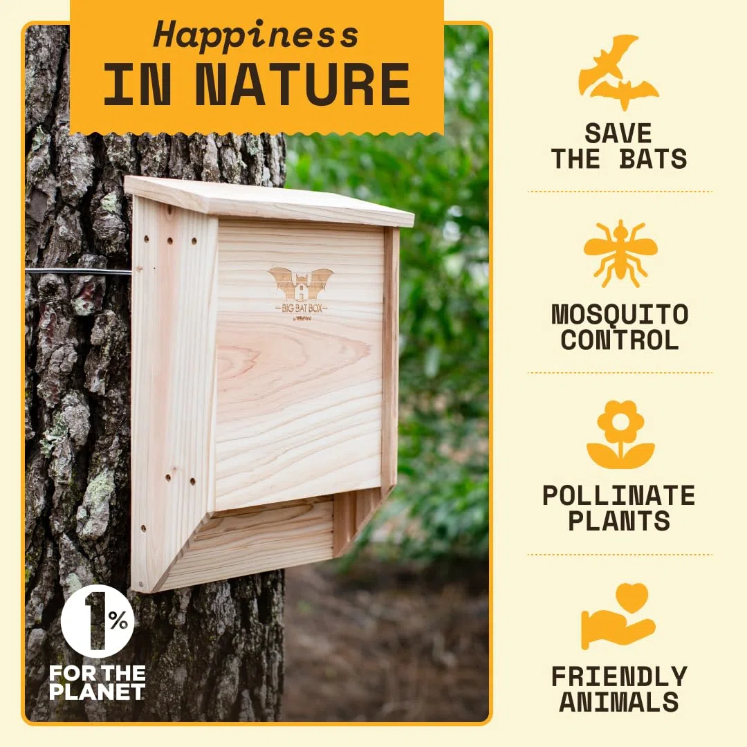 Wildyard Bat House For Outdoors - rifugio per pipistrelli da esterno - Libera il tuo giardino dalle zanzare - Bat Box senza vernice all'interno - Una camera da letto per pipistrelli