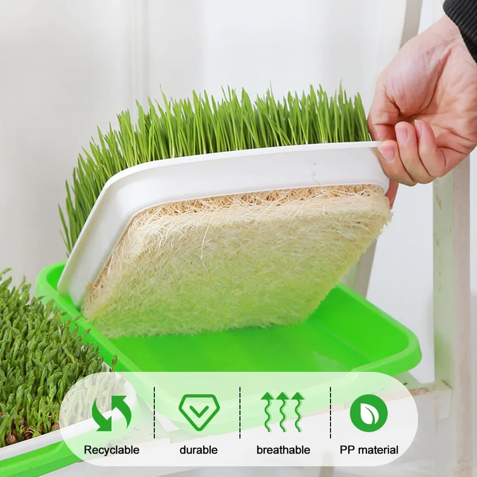 6 Pezzi Vassoio per Germinazione Semi 32.5x24.5x4.5cm Vassoi per Semi Impilabile Vassoio per Germogli in Plastica per Coltivazione Fagioli Mungo,Erba Medica,Erba di Grano
