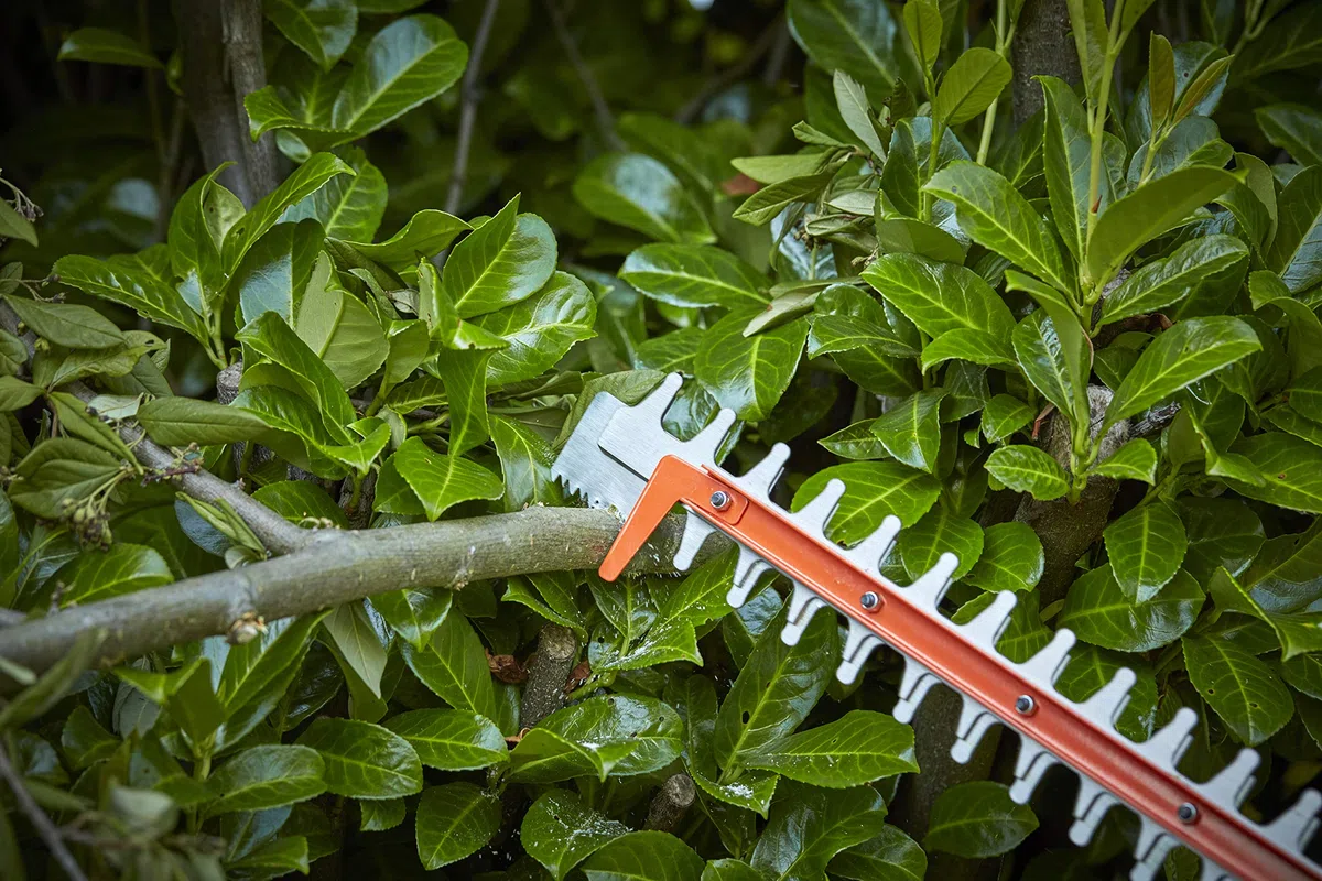 BLACK+DECKER BCHTS36B-XJ Tagliasiepi a Batteria 36V, Unità Senza Batteria e Caricabatterie
