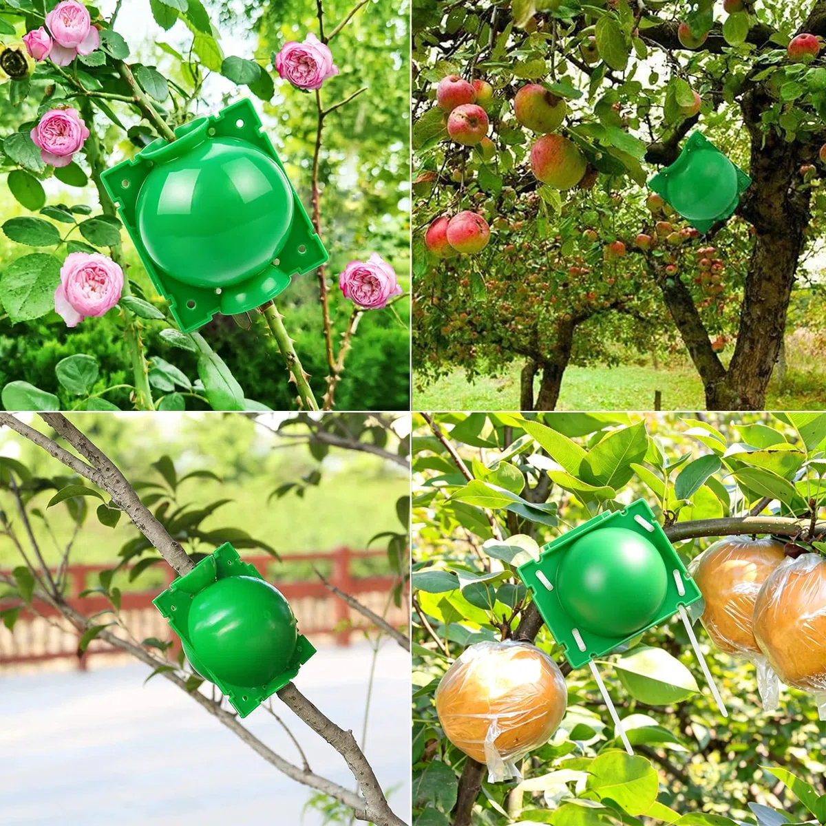 30 Pezzi Dispositivo di Radicamento delle Piante Scatola di Innesto di Piant con Fascette Scatola Coltivazione Radici Piante Propagatori Alta Pressione per Radici Innesto Giardino (Verde)