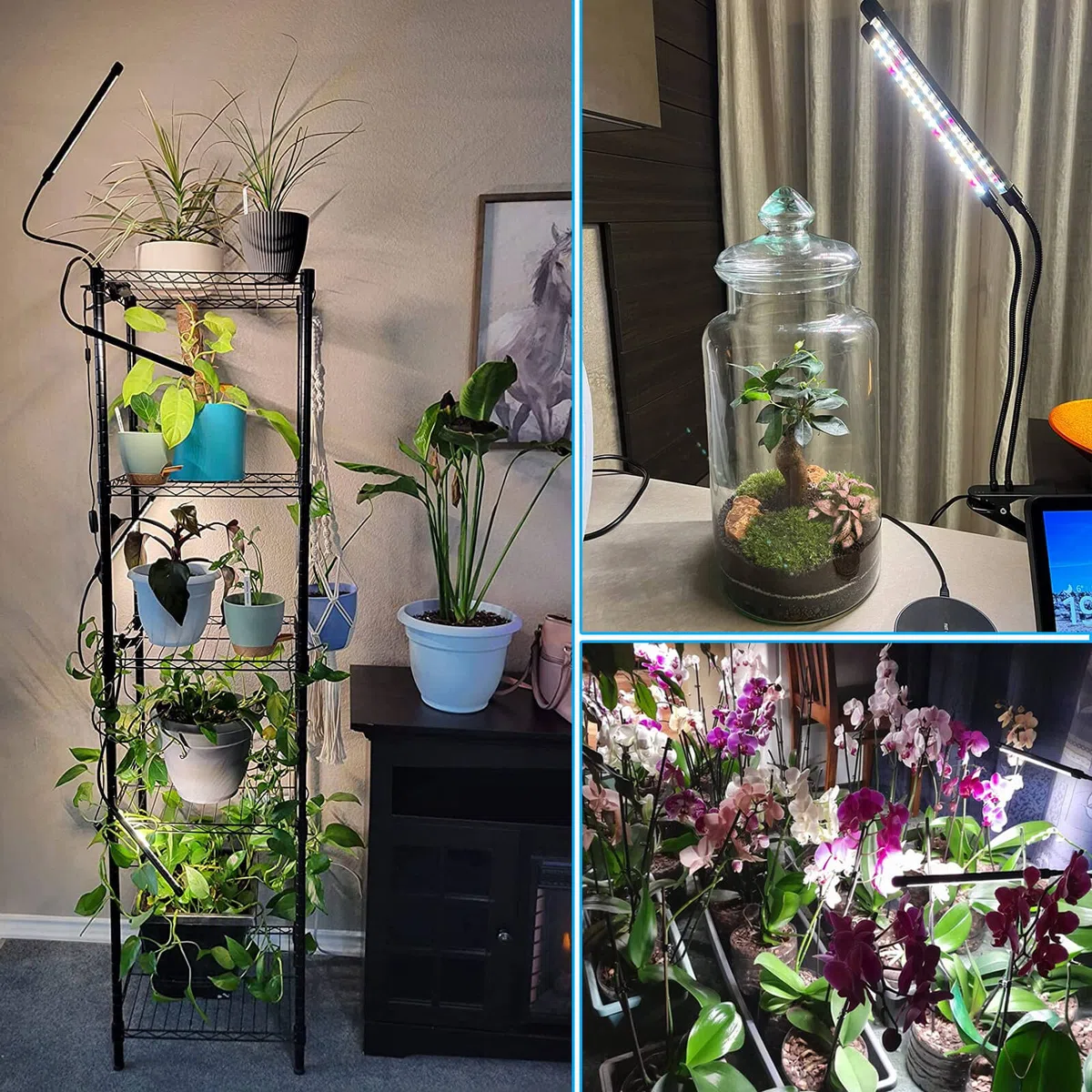 FRGROW Lampada da Coltivazione Piante da Interno, Indoor, grow light full spectrum, Luce di Coltivazione A Spettro Completo 3000K/5000K/660nm, 3 Modalità 10 Luminosità Con Timer
