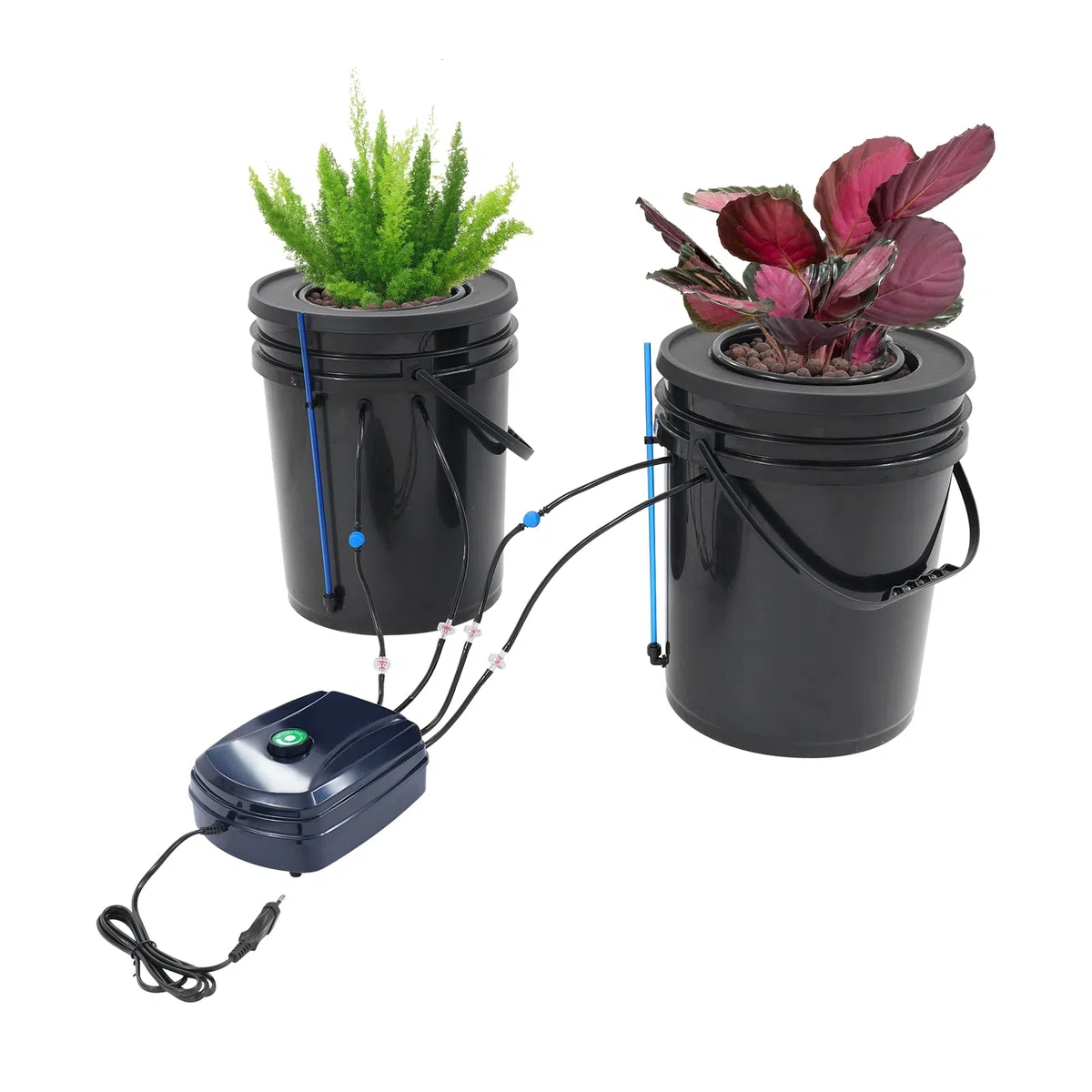Sistema di coltivazione idroponica DWC Sistema di irrigazione automatico con 2 secchi da 5 gal e 12 W pompa dell'acqua, 2 pezzi Top Drip Kit per la coltivazione di fiori, verdura, frutta