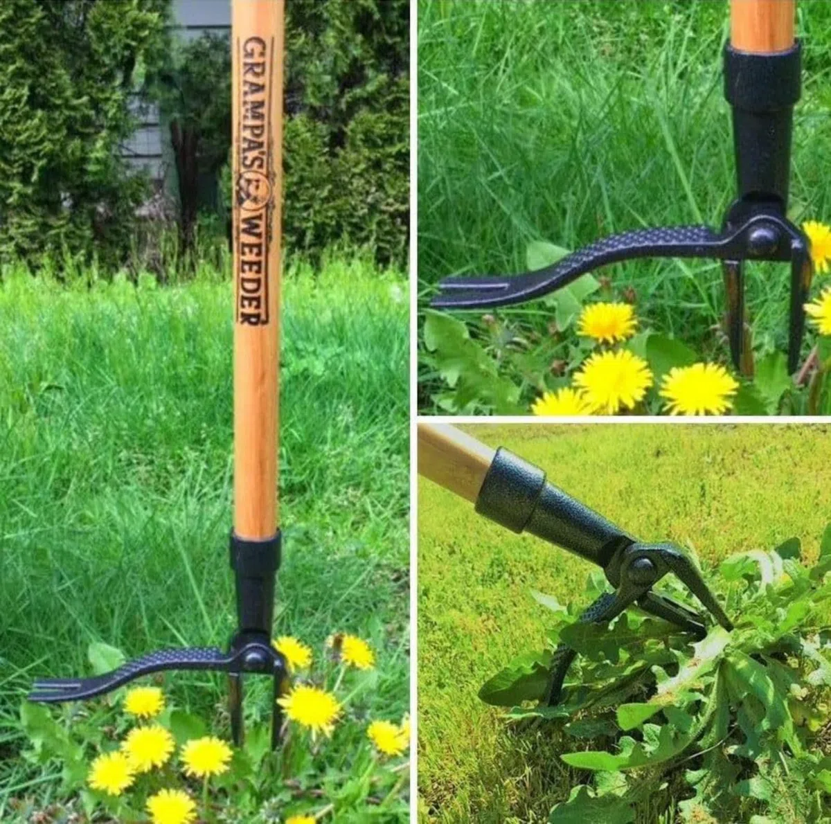 Utensile per rimuovere erbacce con 4 artigli, per rimuovere le radici, per tarassaco, manico lungo, per prato, giardino e cortile