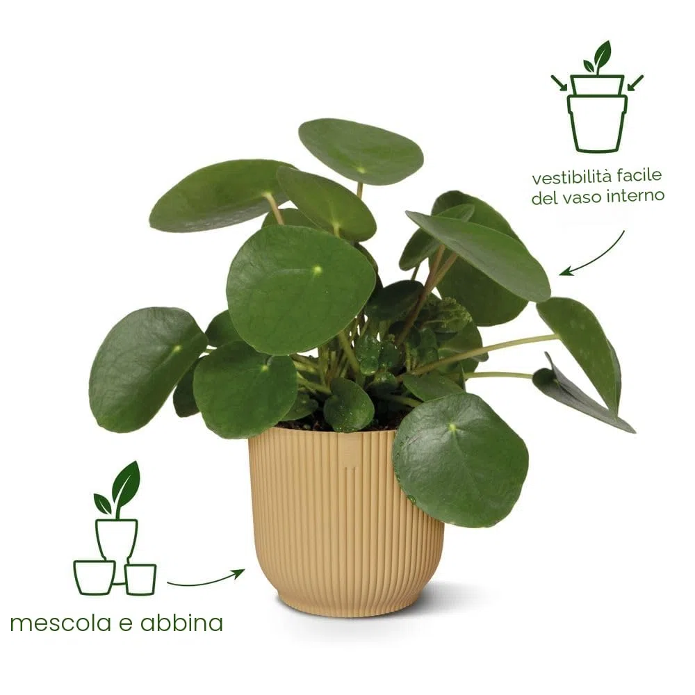 Elho vibes fold round 47cm vaso da fiori - Anthracite | Ø 47 x Alt. 43.6 cm | Adatto per interni | Plastica riciclata al 100%