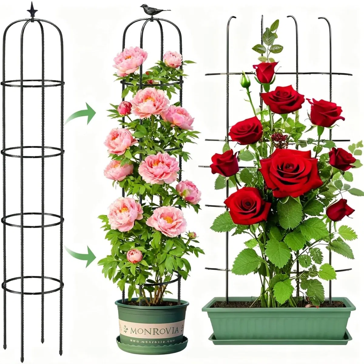 LATERN 1 Pezzi Traliccio da Giardino a Forma di Obelisco per Piante Rampicanti, 180CM Alto Struttura per Traliccio per Piante Rampicanti in Metallo per Vasi Pianta Rosa Pomodoro Cetriolo Fiori Pisello