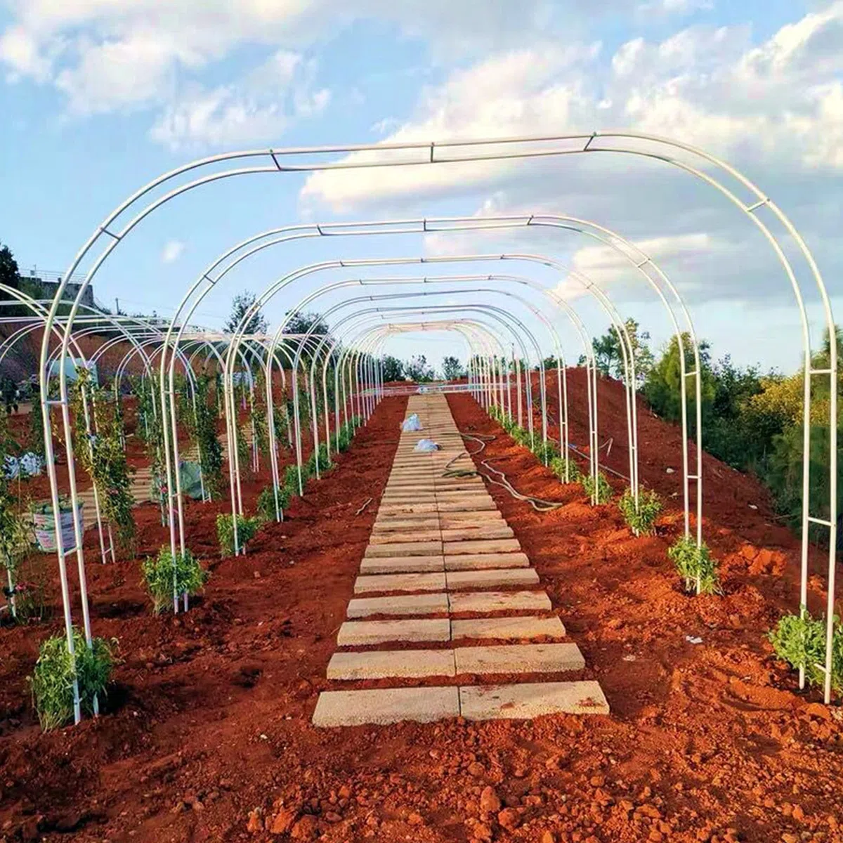 Arco da giardino in metallo, traliccio resistente alle intemperie per piante rampicanti, pergolato per matrimoni, telaio in ferro resistente, elegante decorazione da giardino, perfetto per prato e