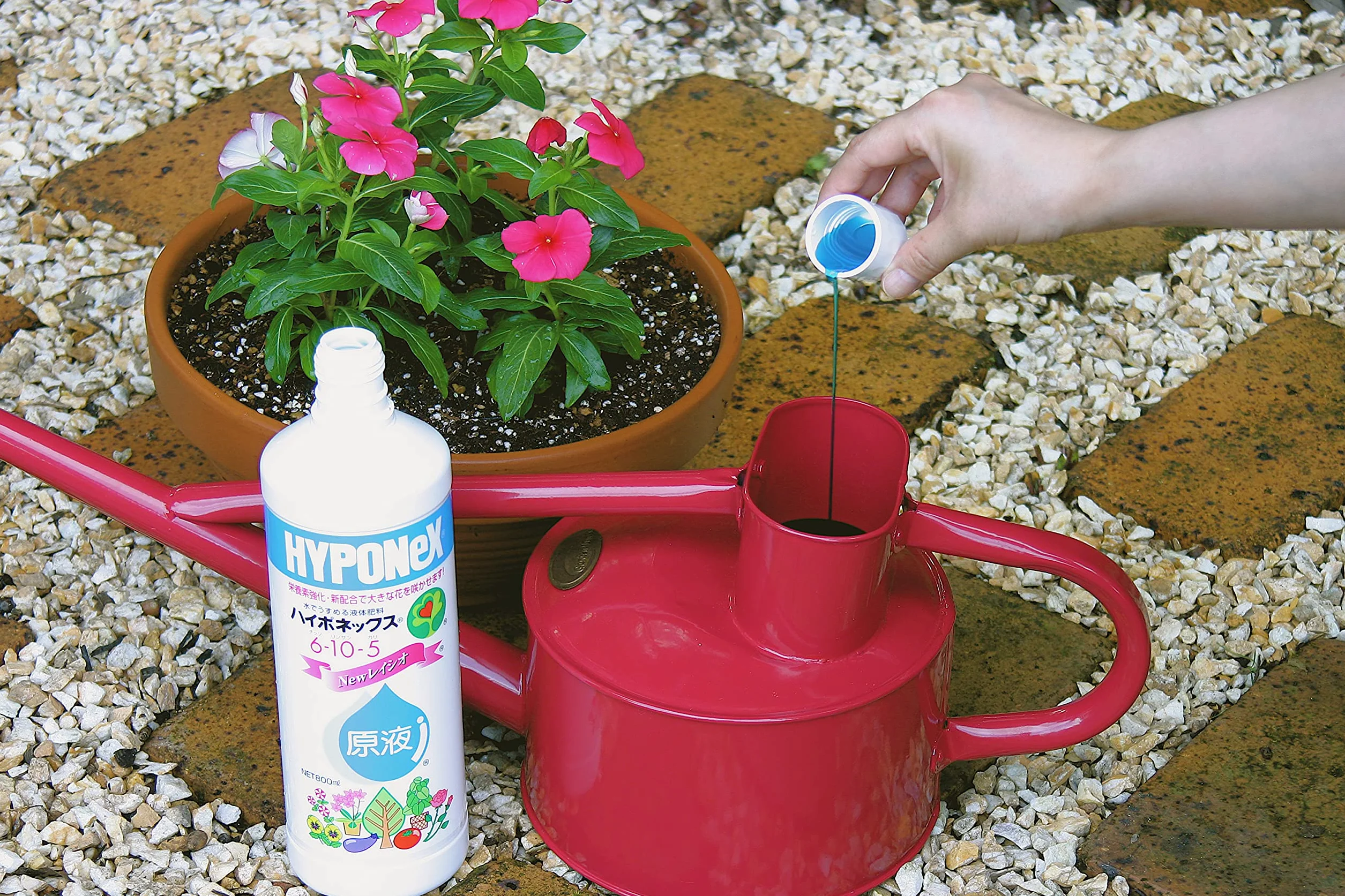 Hyponex liquido giapponese, NPK 6-10-5 (450 ml), concime per bonsai