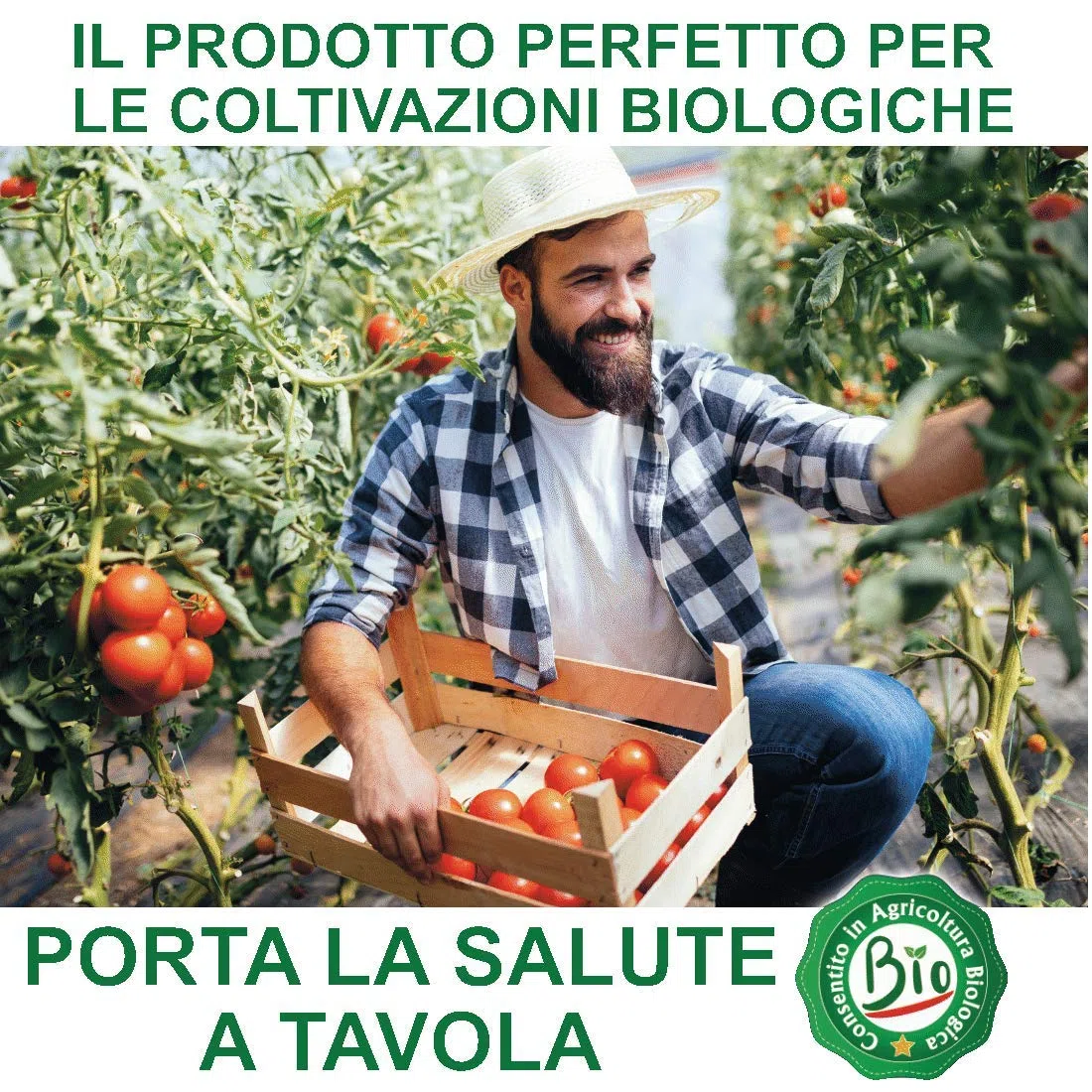 Bioki Zeolite Cabasite Naturale per Agricoltura Bio, 8 kg