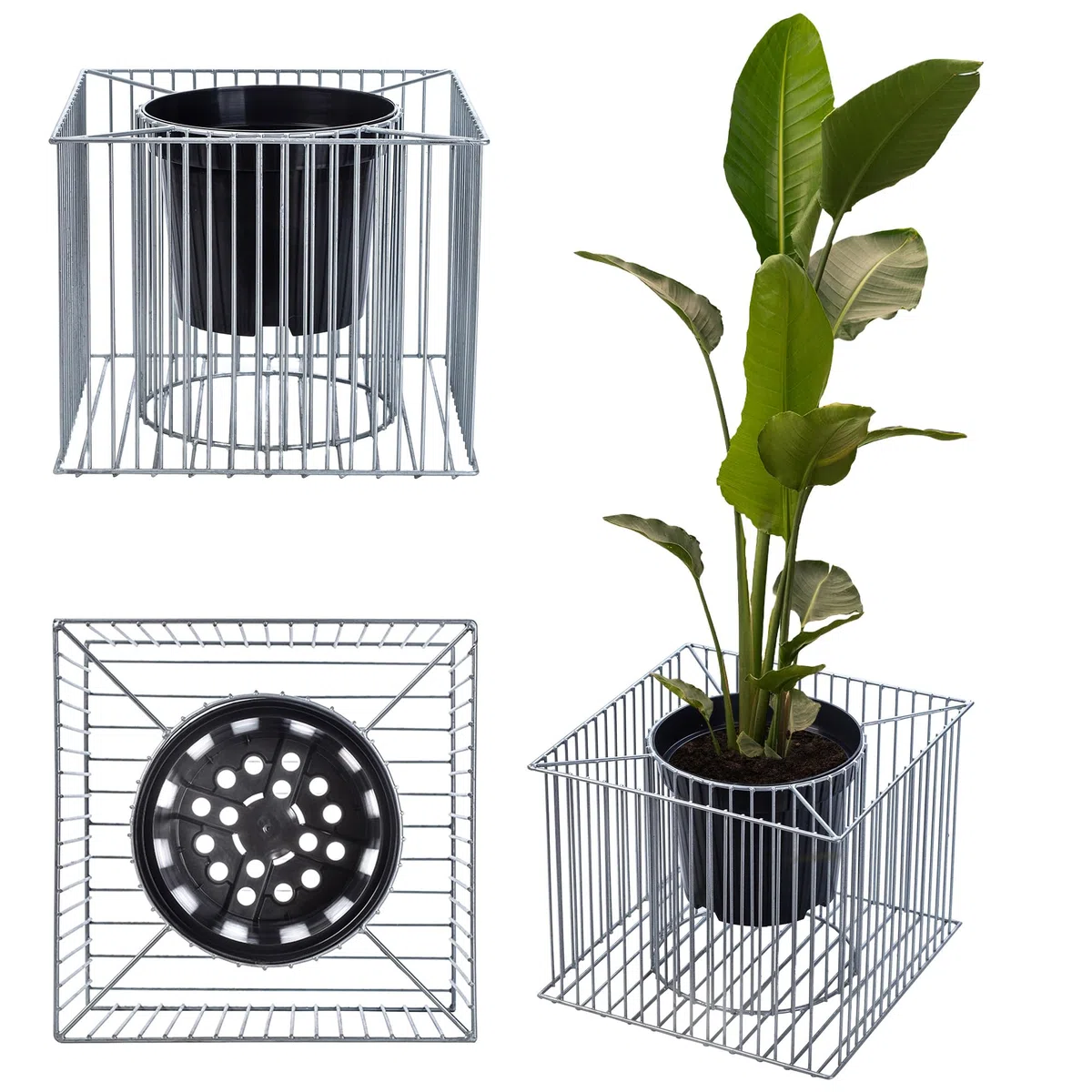 KADAX Set di 39 Gabion Casket pianta, gabion, vaso di fiori per esterno, fiori, giardino, terrazza, fioriera rotonda in acciaio zincato, fioriera, decorazione, cesto di pietra, (Ř 53 cm, H: 33