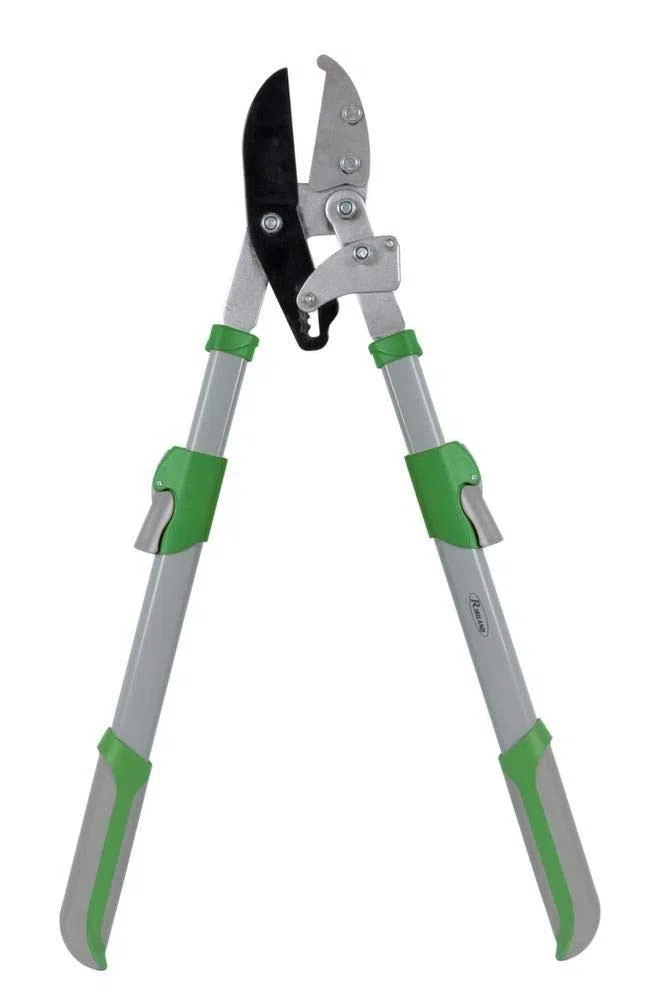 Ribimex PRCBTC98/E Troncarami Demoltiplicazione, 98 cm, Verde/Grigio