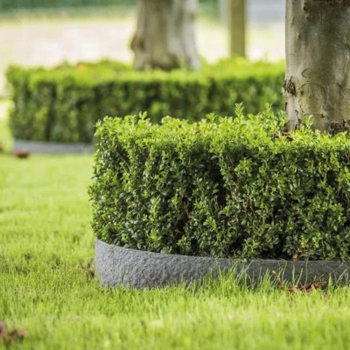 Bordura per Aiuola Ecolat 14 cm - Rotolo 20 metri