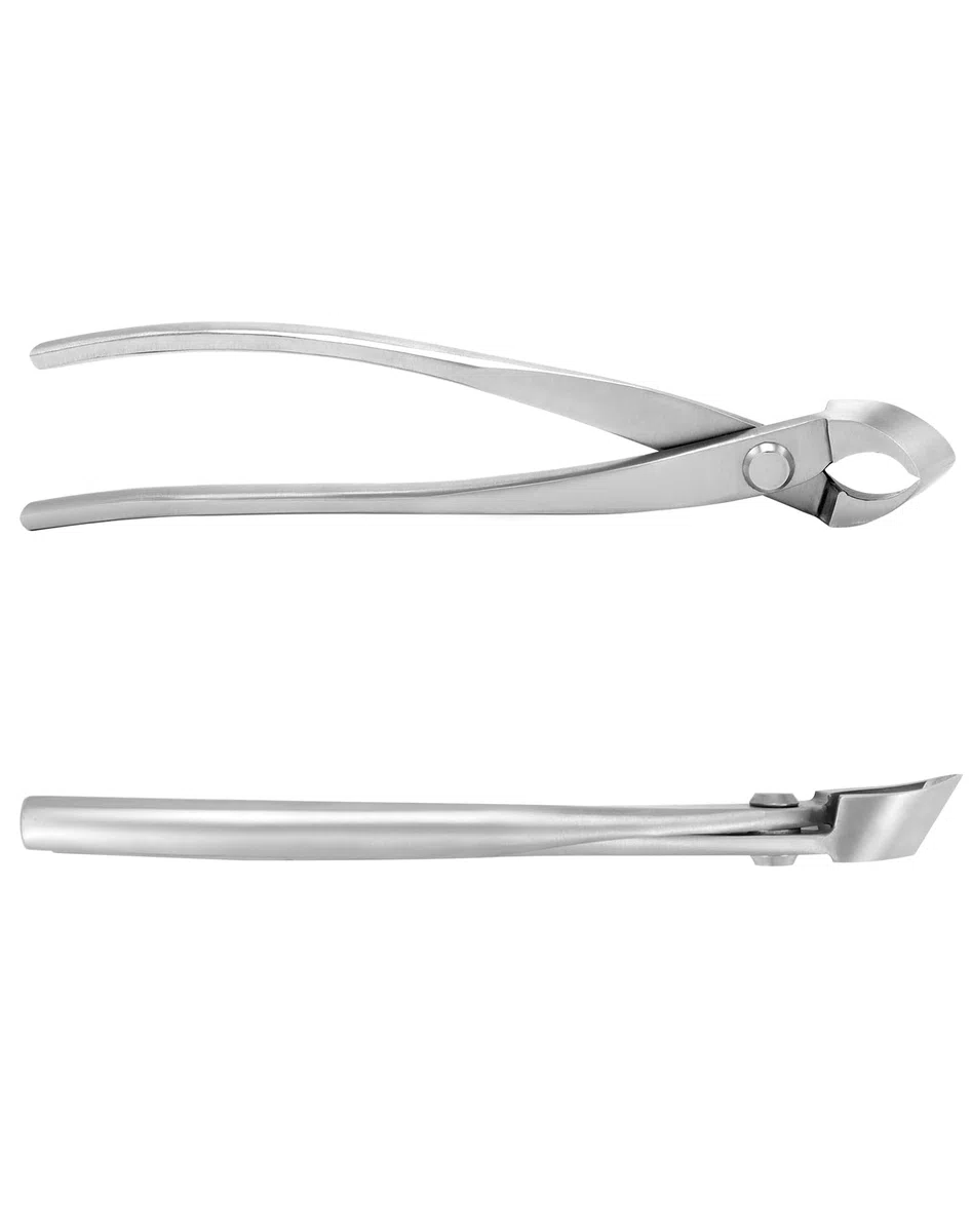 QWORK® Taglierina concava in Acciaio Inox - 21 cm - Strumento Bonsai per la potatura dei Rami dei Bonsai