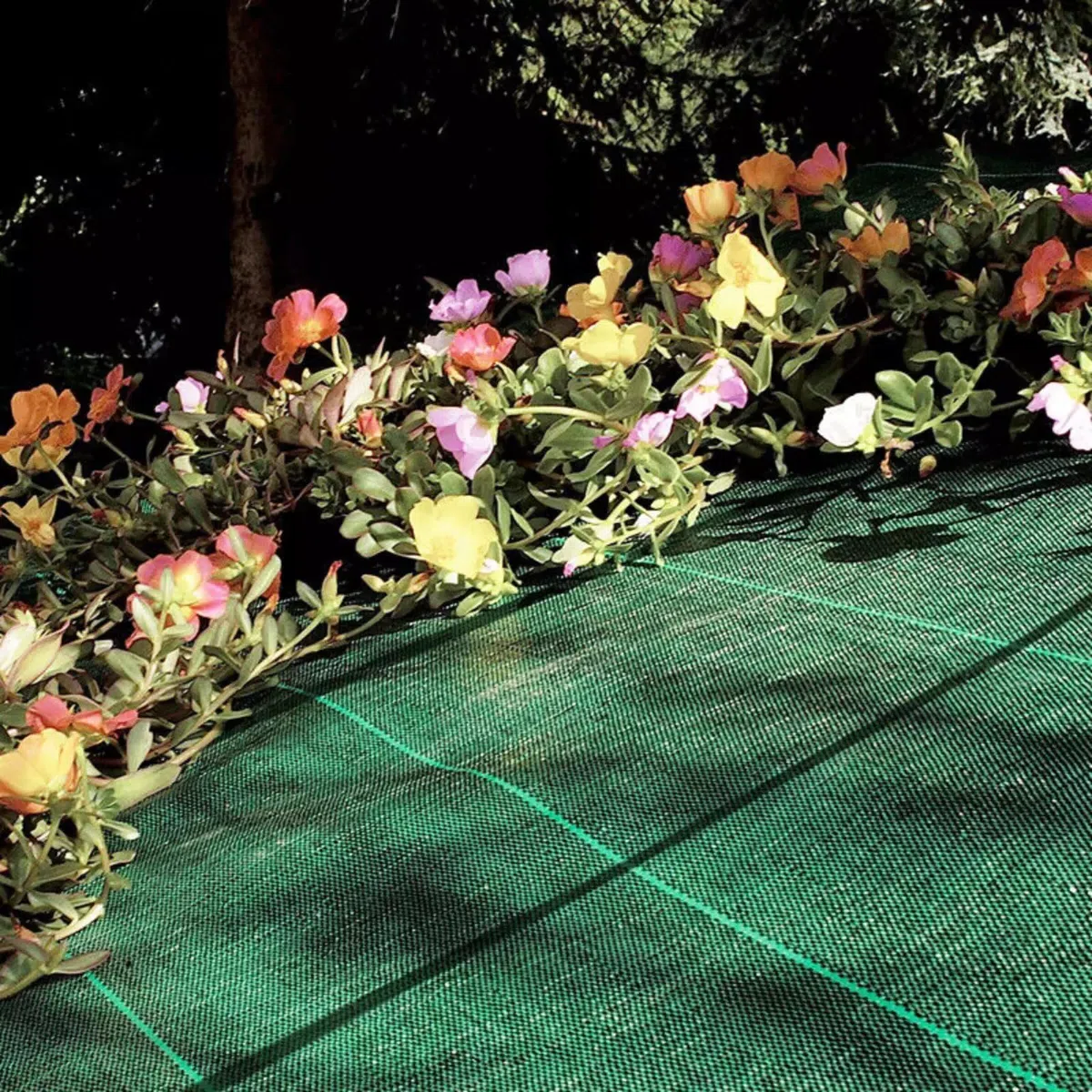 Telo Pacciamatura 100Gr/Mq Verde Pacciamante Anti Erbacce Antialga Traspirante Permeabile Resistente all'Acqua Ideale per Agricoltura,Prato,Giardino,Giardinaggio (205x30 MT, Geometrico)