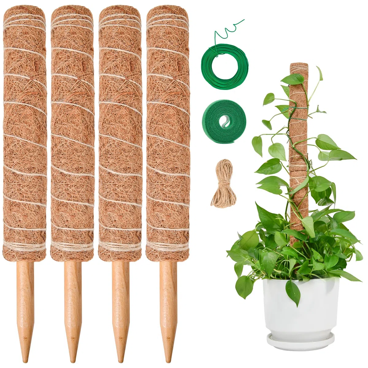 Totem di Cocco, SproutMaven Bastone per Piante da 4x40cm Allungabili, Altezza 124cm Bastoncino di Totem Palo Supporto Piante Rampicanti da Interni ed Esterni, Liane per Crescere Verso L'alto