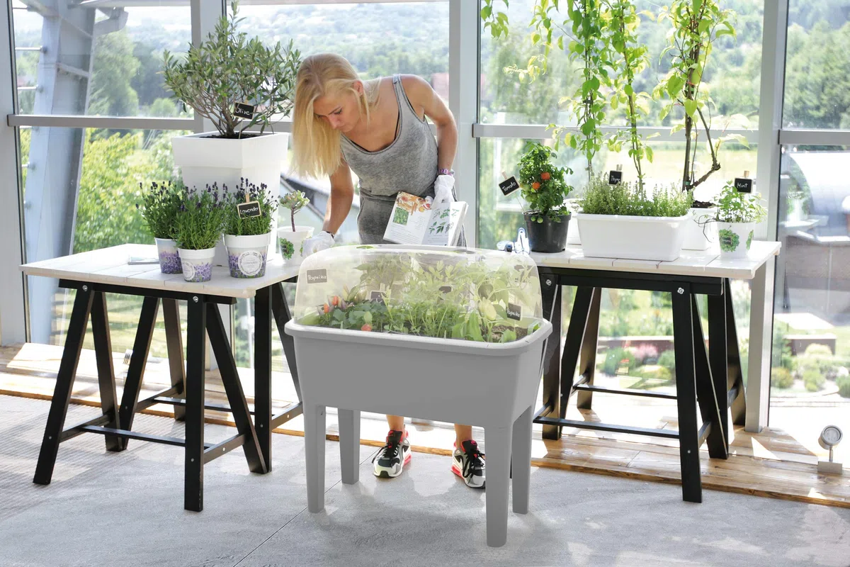 Orto urbano con serra 52 litri in polipropilene 77 x 38 x 82 cm colore grigio