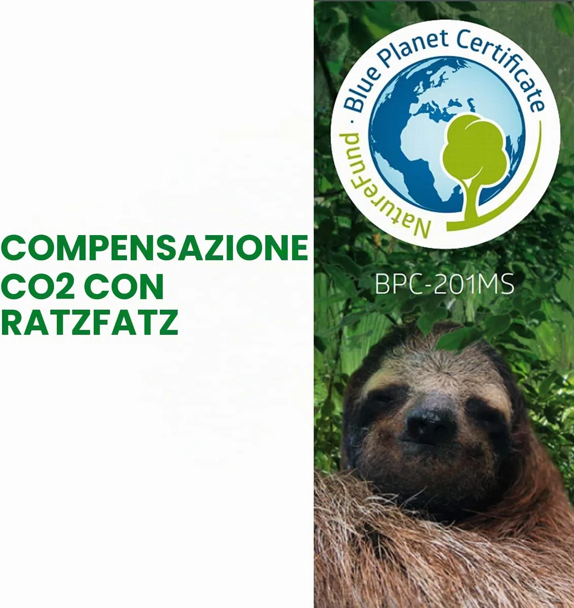RatzFatz Gabbie Trappola, Trappola Topi● Vincitore 2021 ● Professionale, Giardino e Casa, Set trappola animali, Conigli e Criceti, Sensibilita` Regolabile, Multiuso, Gabbia, Caccia