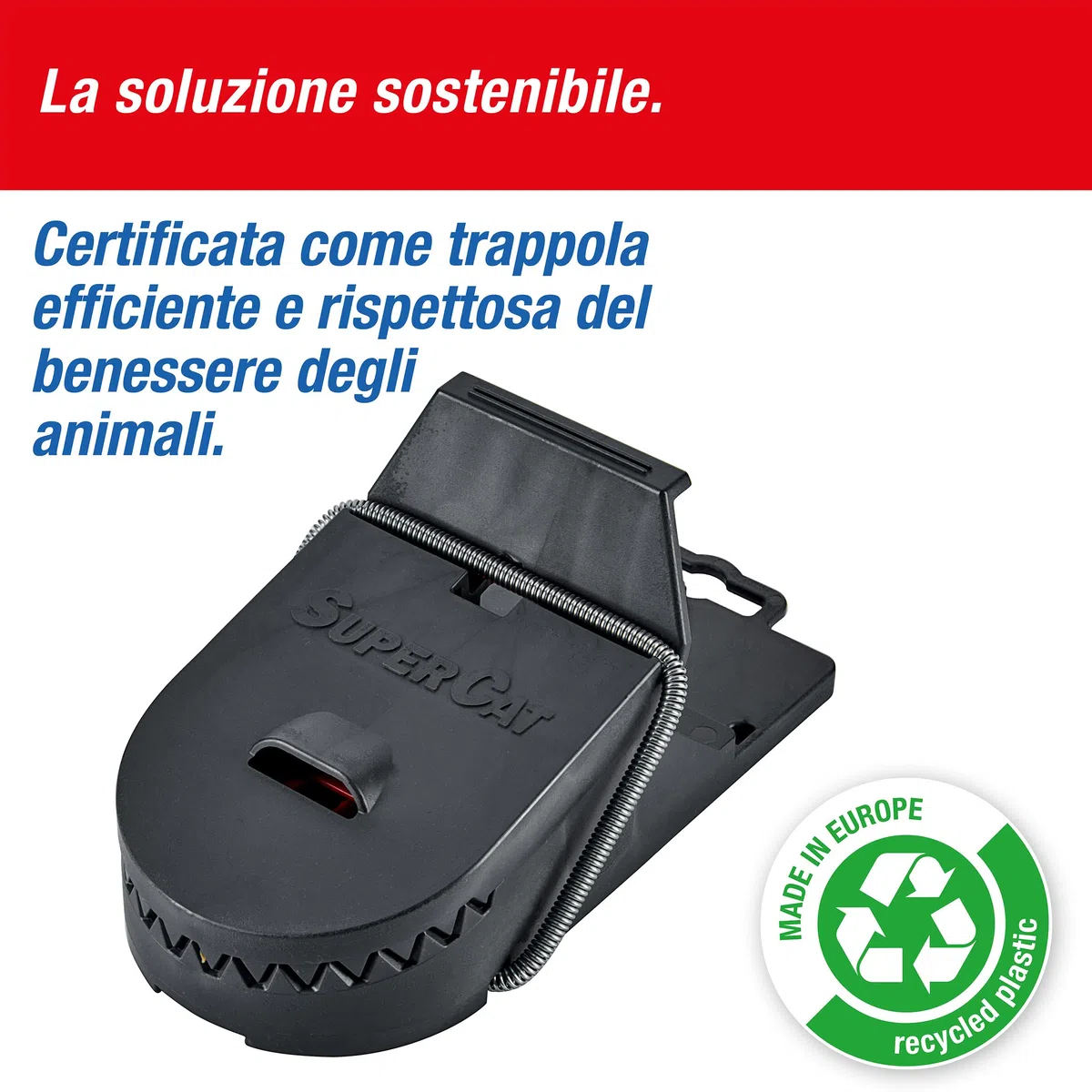 SWISSINNO Trappola per Ratti PRO SuperCat – Trappola Riutilizzabile e Affidabile – Eliminazione Rapida e Precisa – Con Esca al Burro di Arachidi - 2 Trappole
