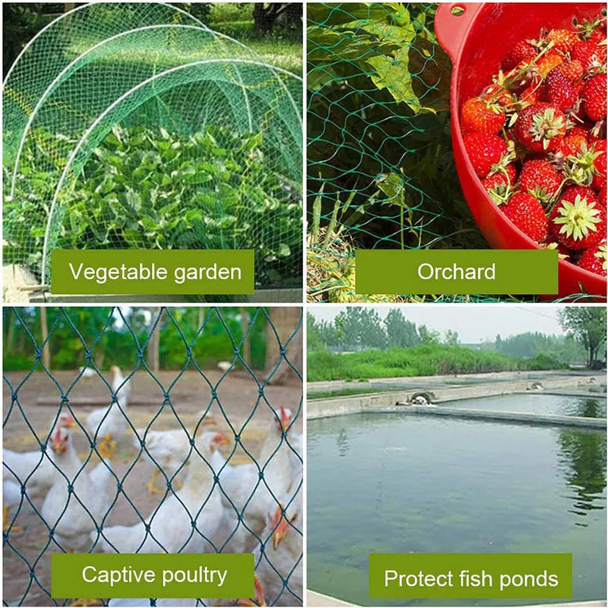 Rete per insetti a maglie strette， Garden Trellis Bird Netting 15mm Mesh Green Multiple Sizes(10x15m)