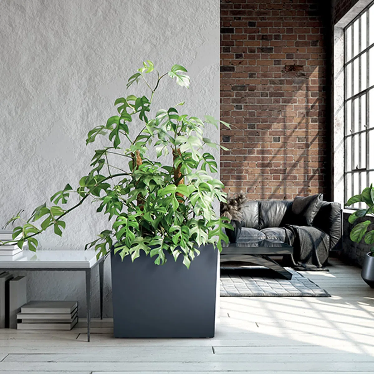 IMJ-Global Set di 3 Vasi per Fiori Piante Rettangolari Urbi Case T In Plastica 58x18x49,8cm Da Interno Esterno Neri Volume 44 Litri Design Moderni