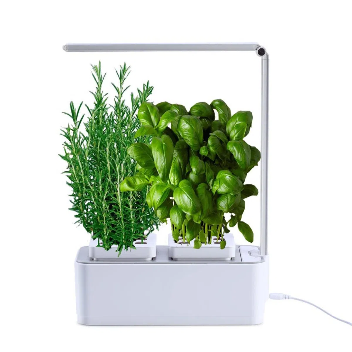 Clizia Smart Garden - serra idroponica per piante, vaso intelligente, grow box - Orto da interno 100% Bio - Coltiva le erbe aromatiche- timer automatico, luce Led inclusa (Bianco)