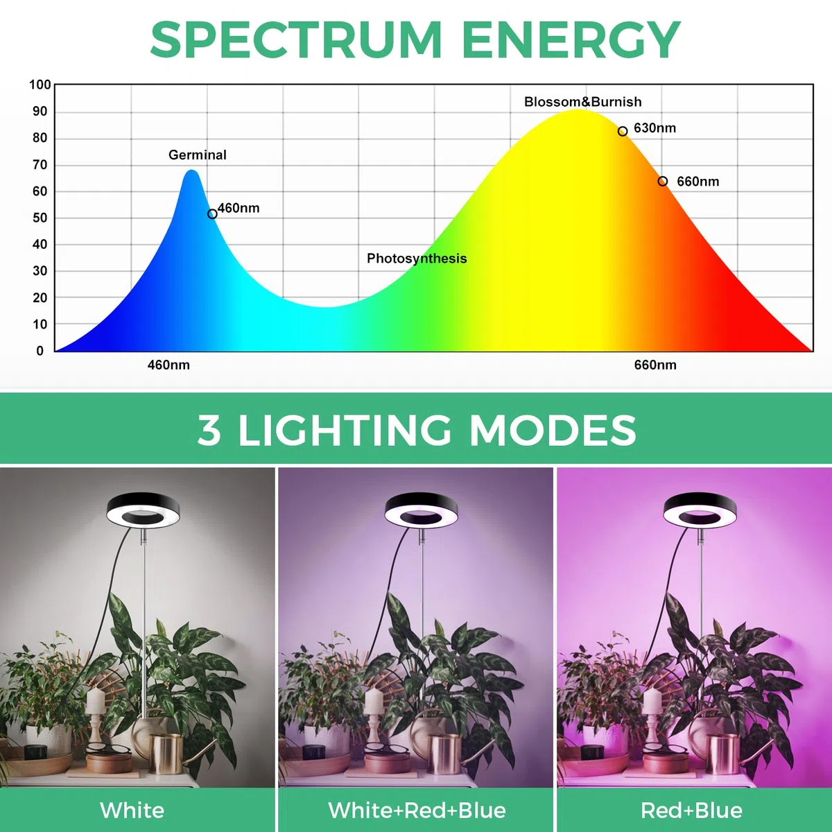 CNMTCOO Luce per piante a LED, spettro completo per piante da interno, altezza regolabile, con adattatore USB, 3 modalità di luce, timer di 3/9/12 ore