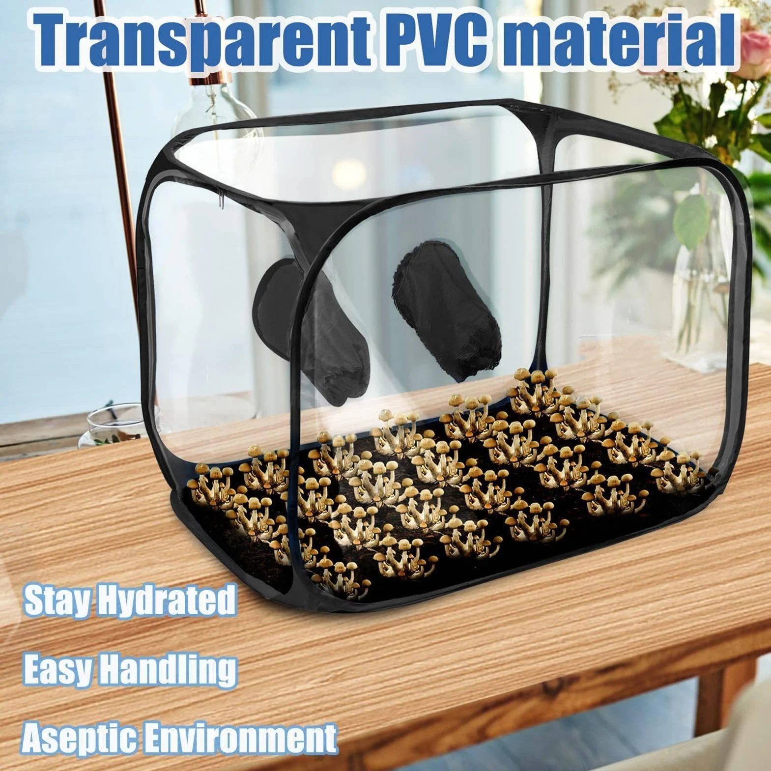 Mushroom Still Air Box - Borsa per piantare funghi, stazioni di propagazione della tenda | Borse per la coltivazione di funghi Forniture per orticoltura, contenitori pieghevoli dal design pop-up per