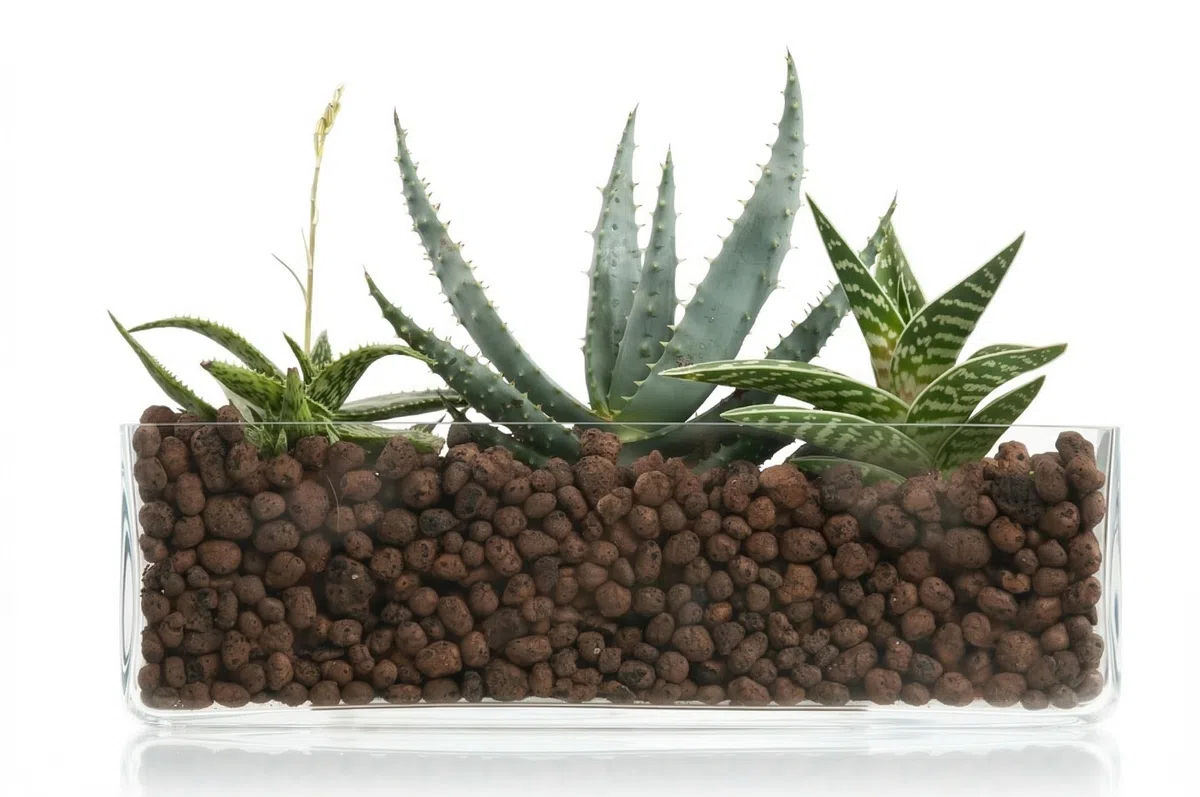 Agriargilla 2 Confezioni da 10L (20L Totali) - Argilla Espansa per Piante 8-20 mm, Inerte a pH Controllato, Ideale per Drenaggio, Aerazione e Decorazione di Vasi e Fioriere