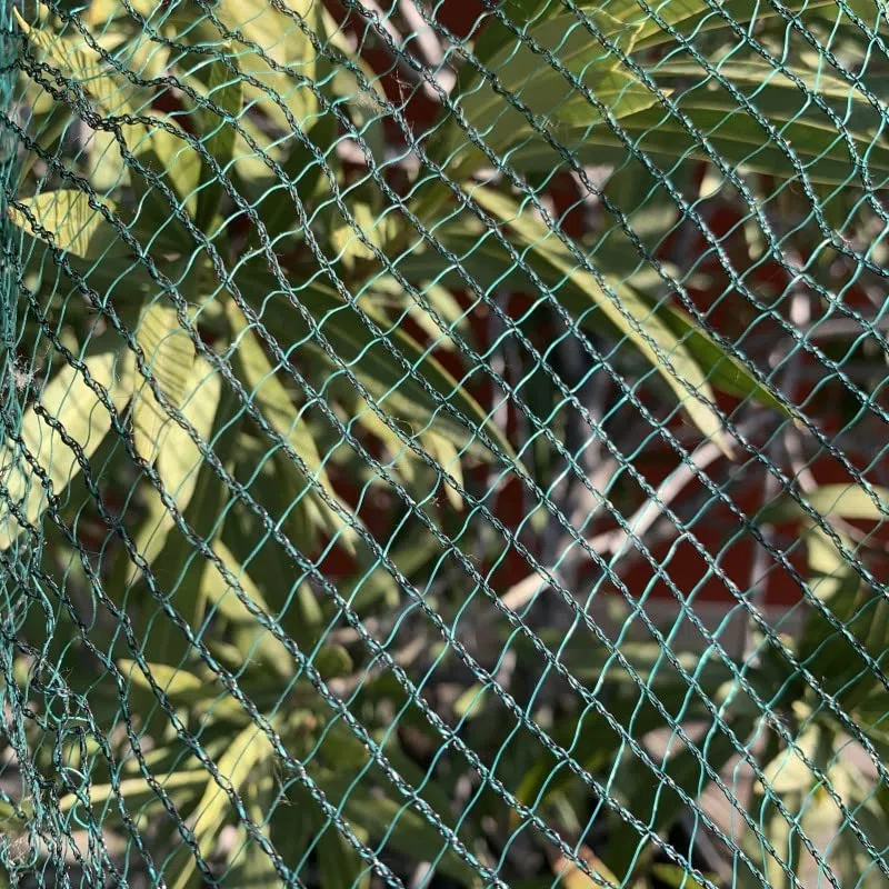 Rete antigrandine anti grandine per orti, giardini, parcheggi m 6x10