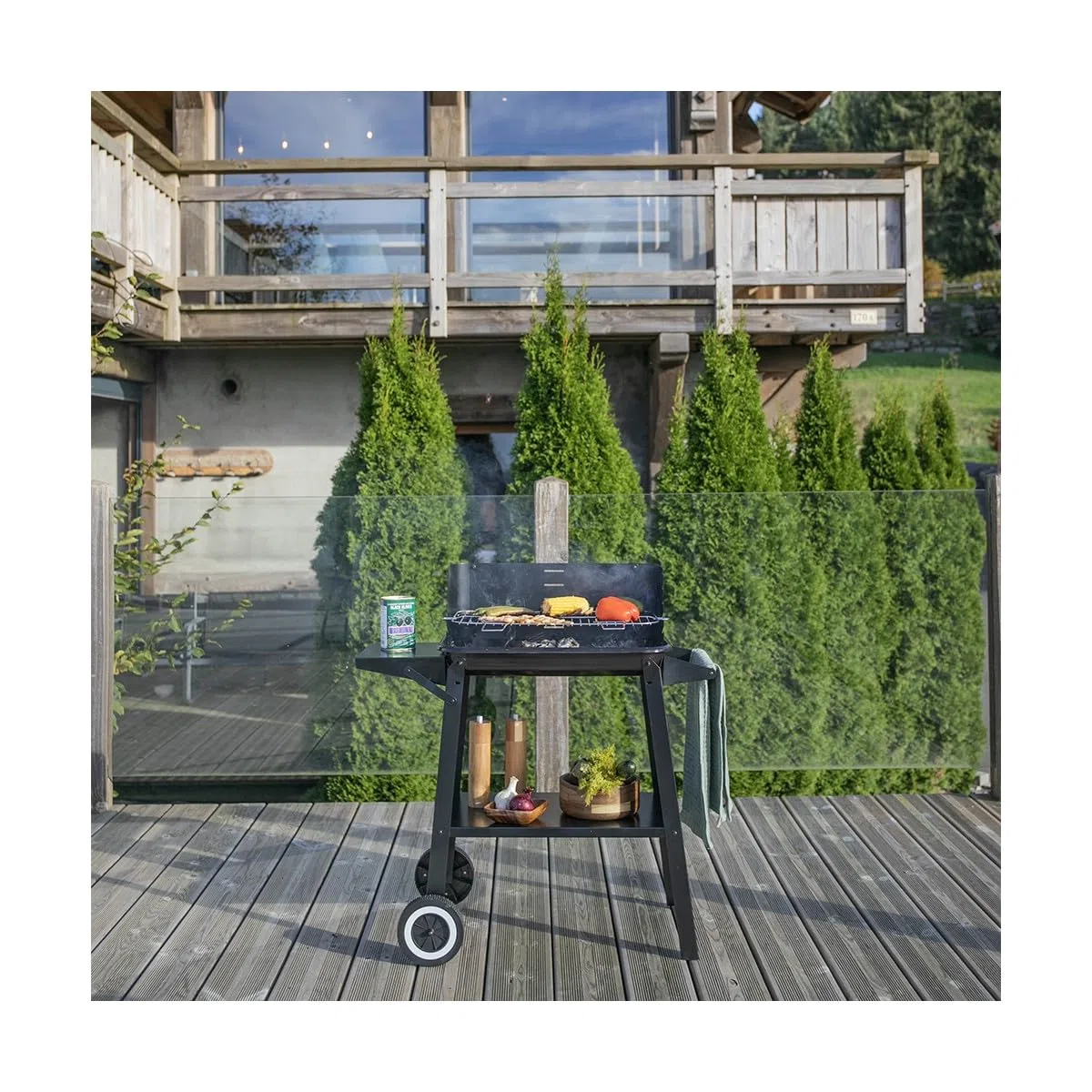 Barbecue a charbon - LIVOO - DOC328 - Inox