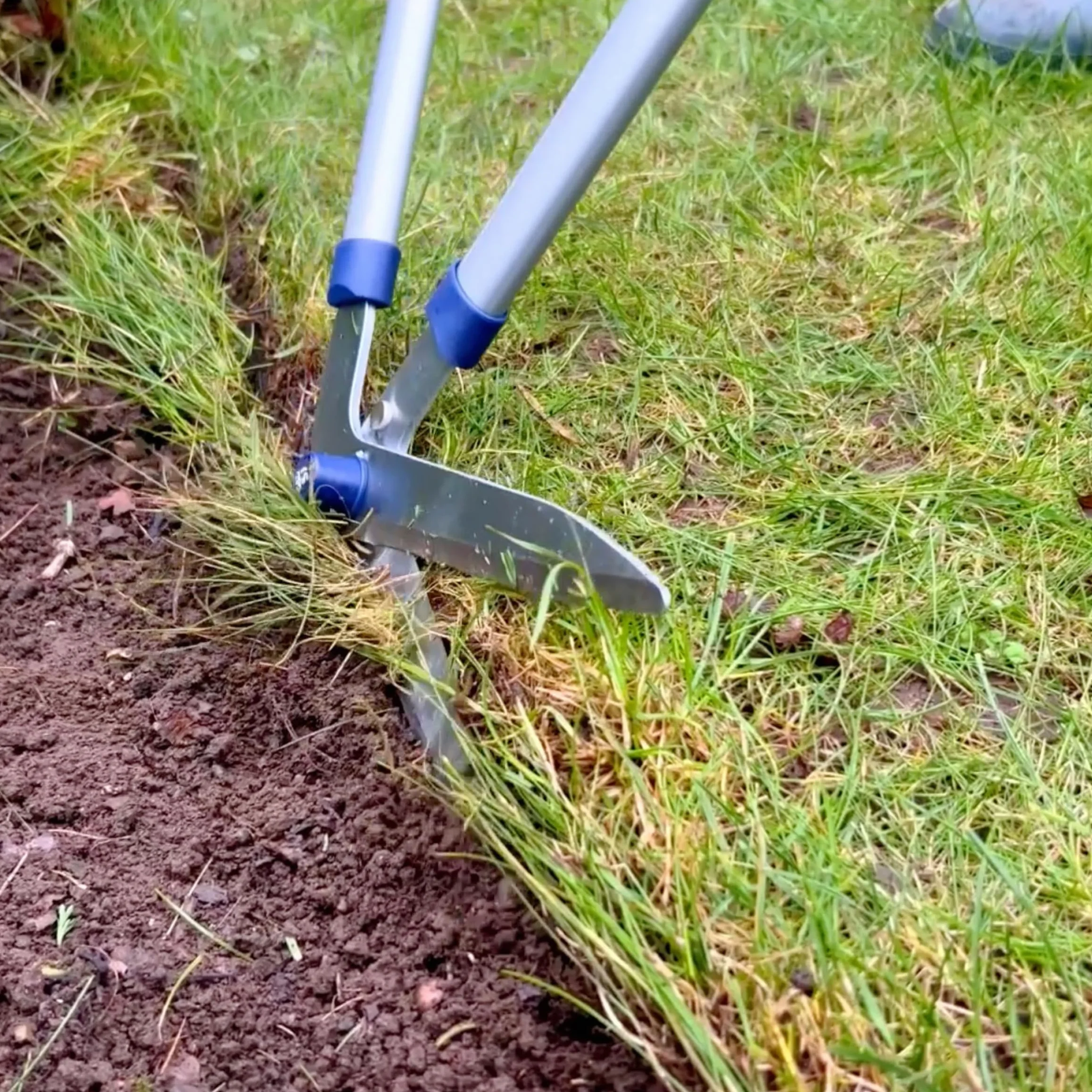 Spear & Jackson 4900RSS Cesoie in Acciaio per Bordure, Gamma Razorsharp