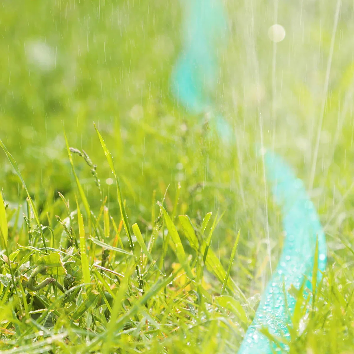 Relaxdays Tubo Flessibile per l'Acqua, per l’Annaffiamento di Piante in Giardino, con Fori, con Connettore, 8,2 m, Verde