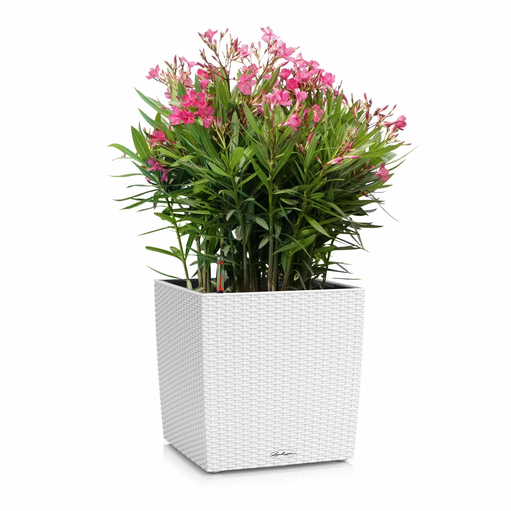 LECHUZA CUBE Cottage 30 bianco 15376