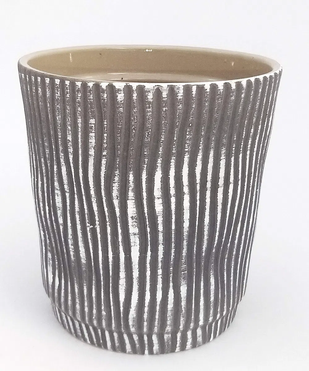 POWERS TO FLOWERS - FELCE PHLEBODIUM AUREUM BLUE STAR IN VASO CERAMICA A RIGHE GRIGIO-BIANCO, pianta vera
